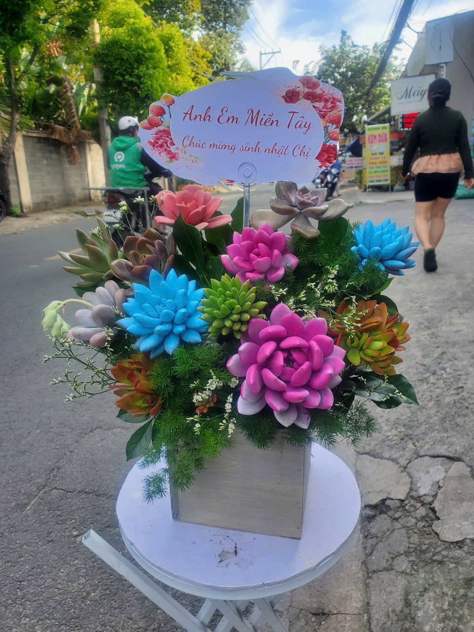Hoa sen đá xanh dương tại Bình Dương 