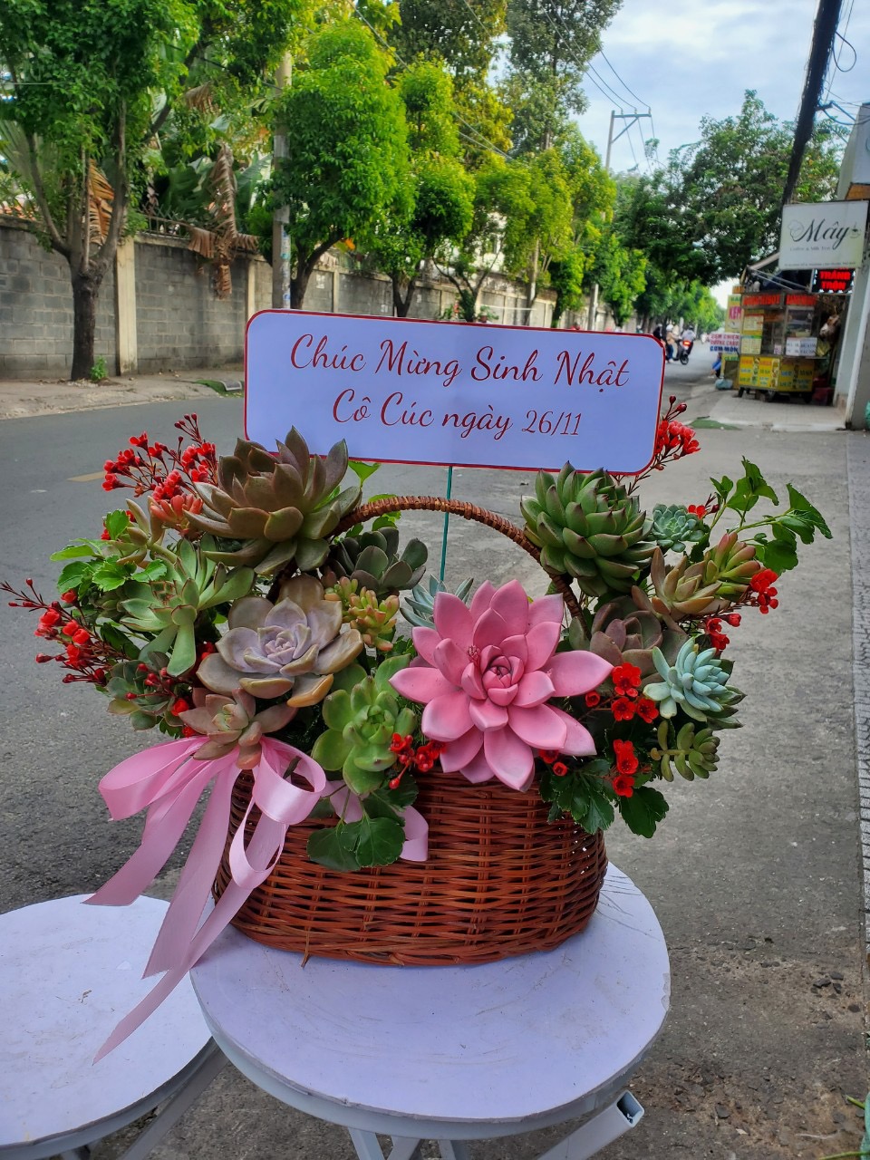 Giỏ hoa sen đá đẹp 