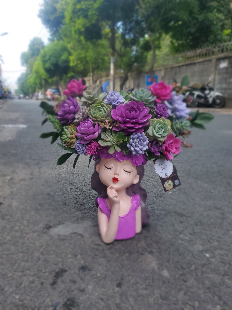 Giỏ hoa sen đá cô gái 