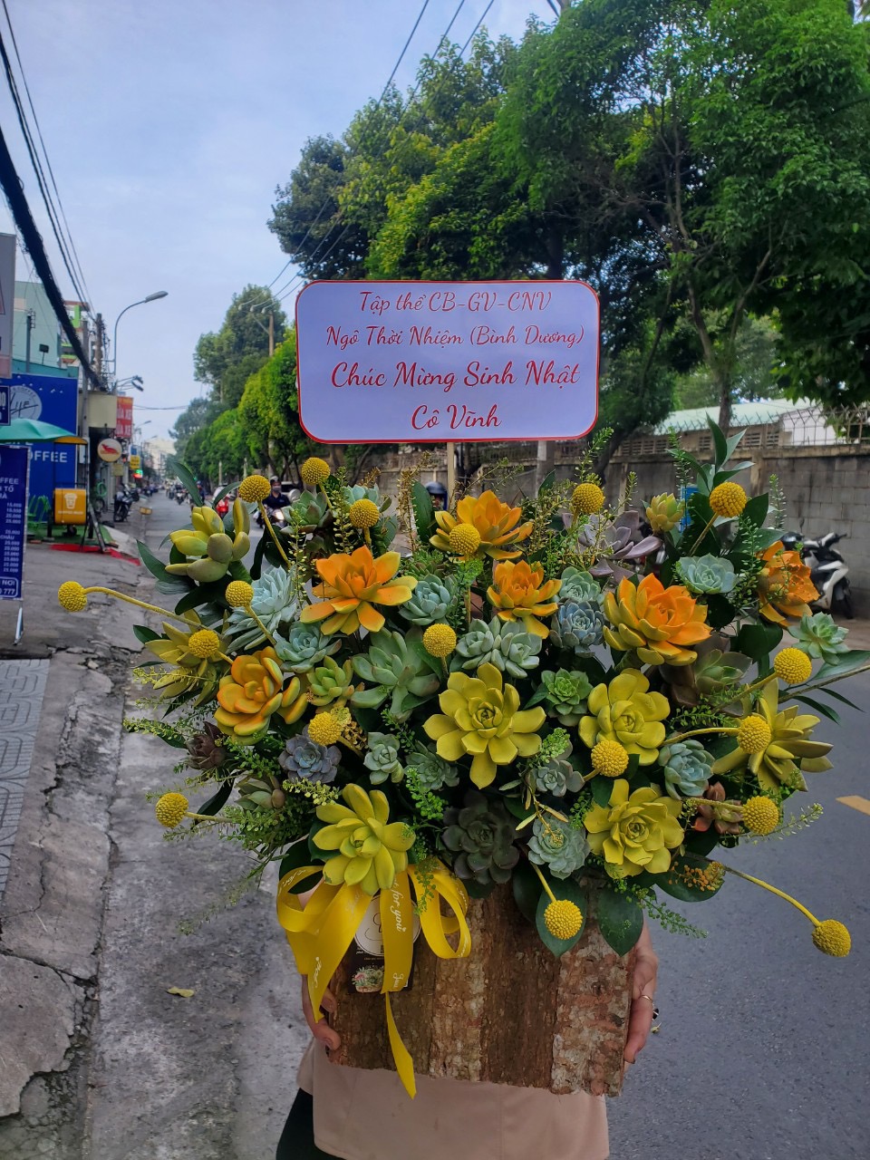 Giỏ hoa sen đá to cao cấp tặng công ty