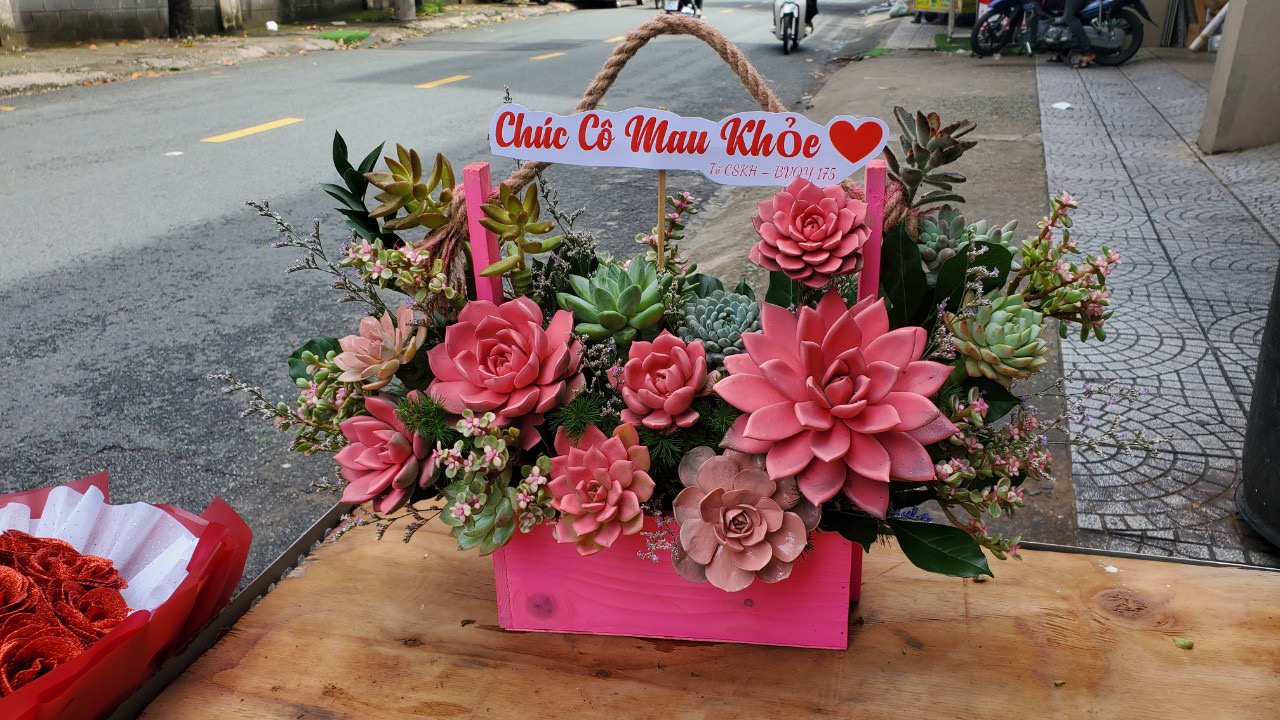 Giỏ hoa sen đá tặng khai trương giá rẻ