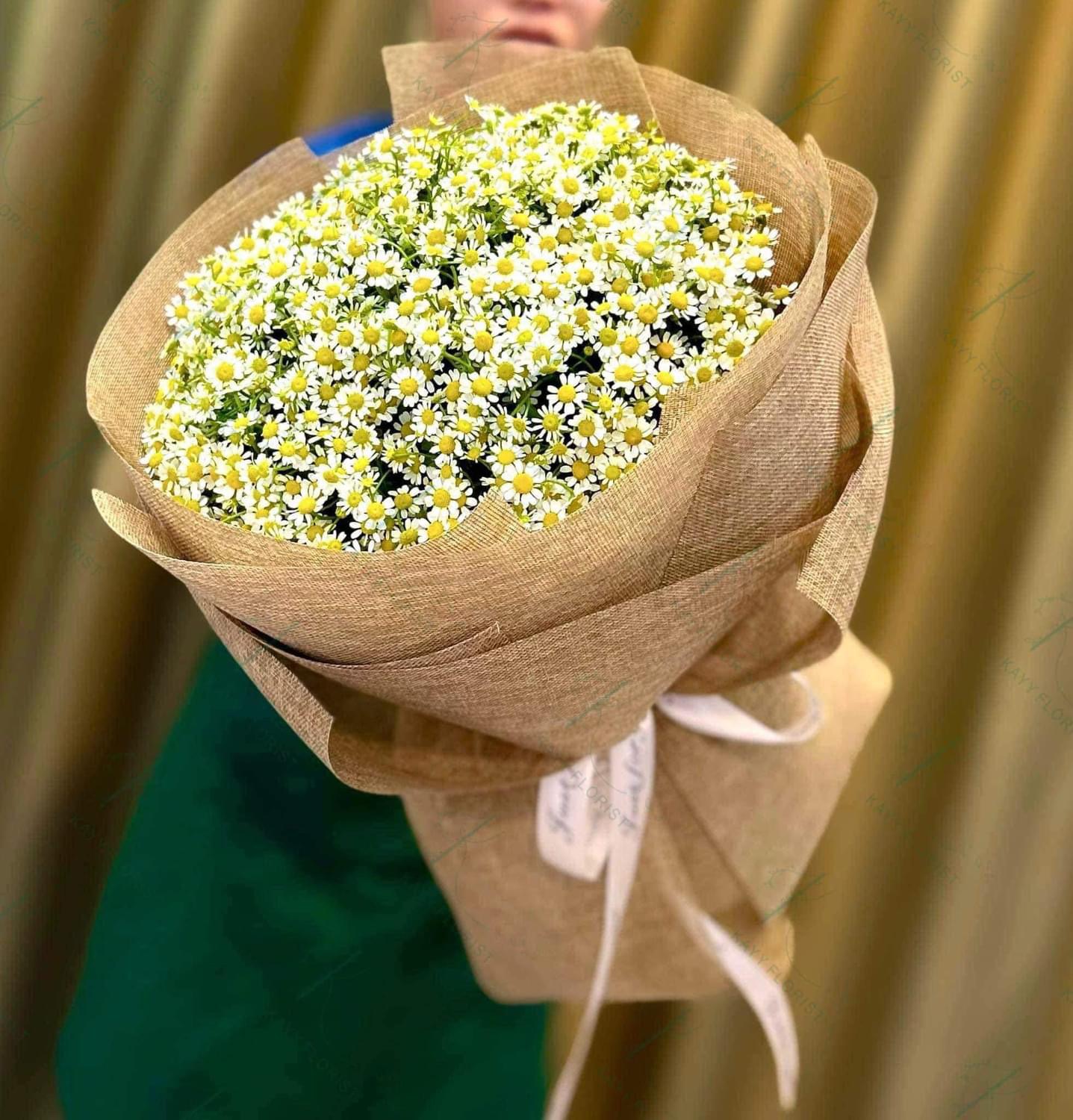 Bó hoa cúc tana bó kiểu Hàn
