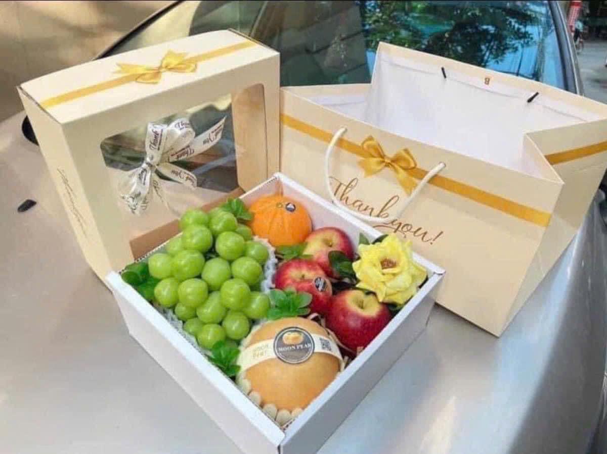 Hộp hoa trái cây đi biếu, tặng  kèm túi 