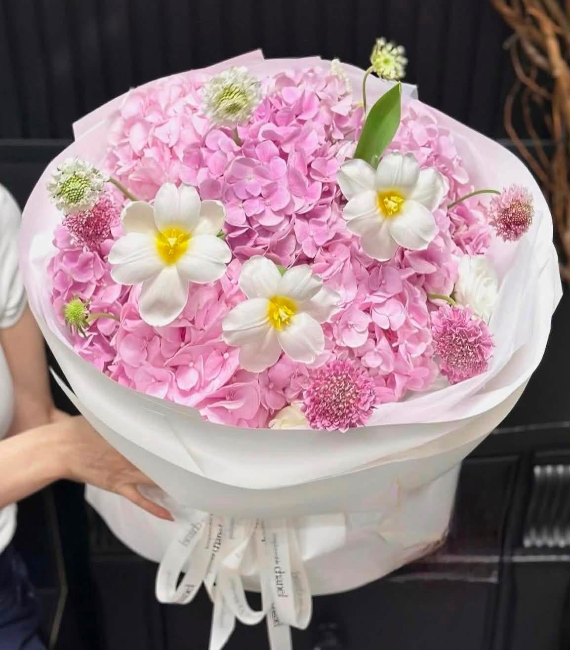 Hoa Tú cầu Hồng Bình dương 