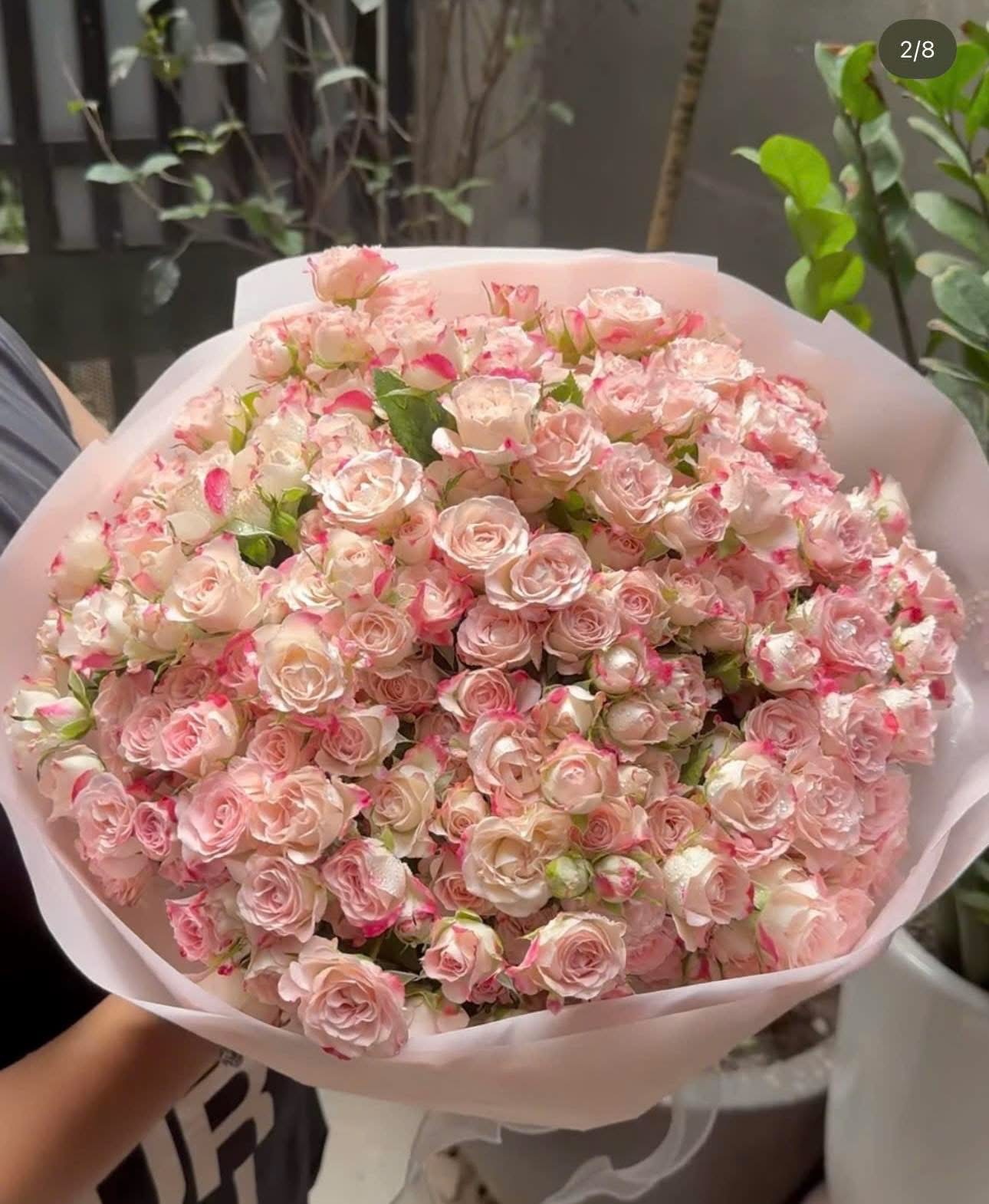 Bó hoa chiết xa quận 12