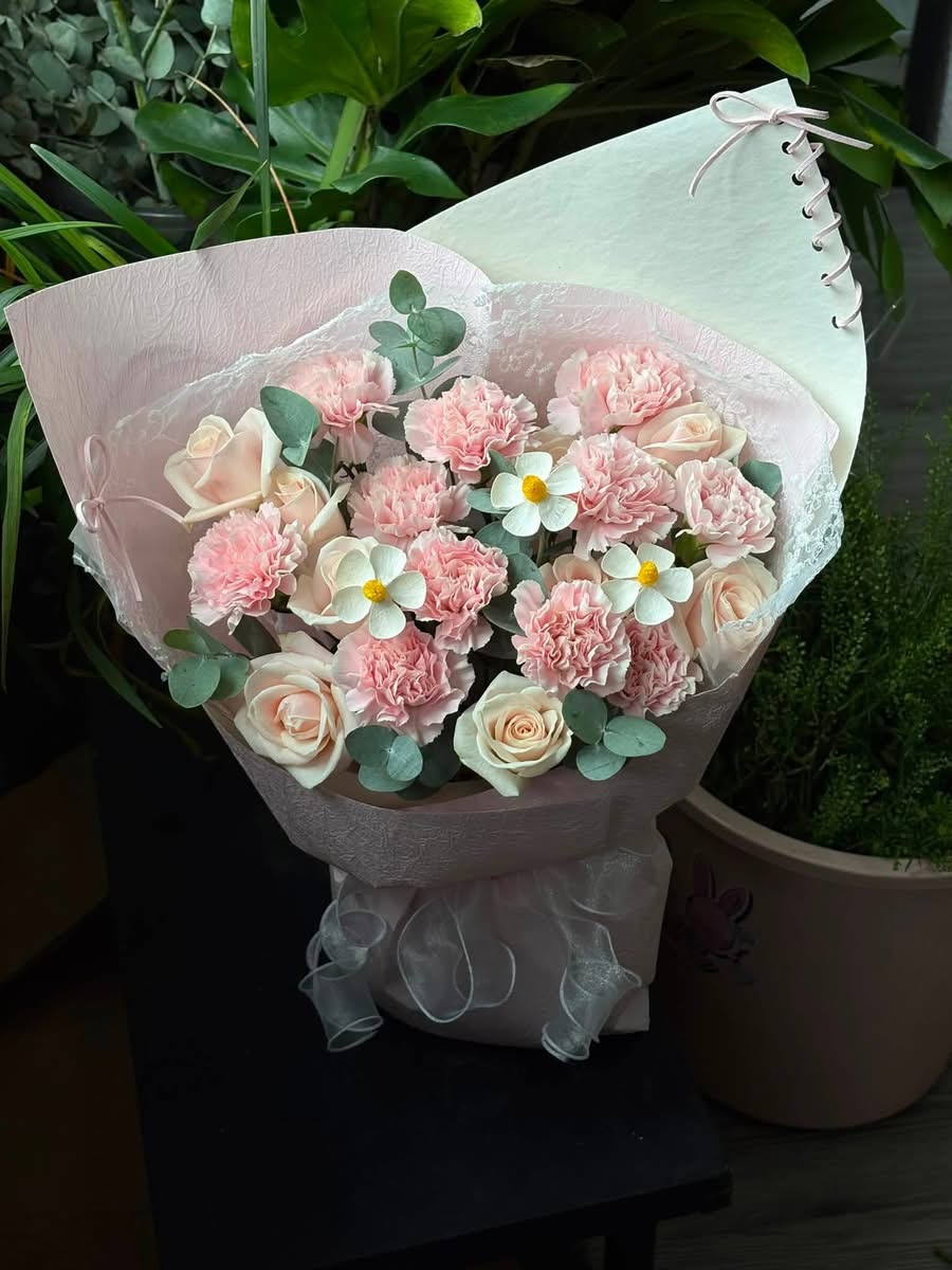 Bó hoa cẩm chướng hồng nhạt 
