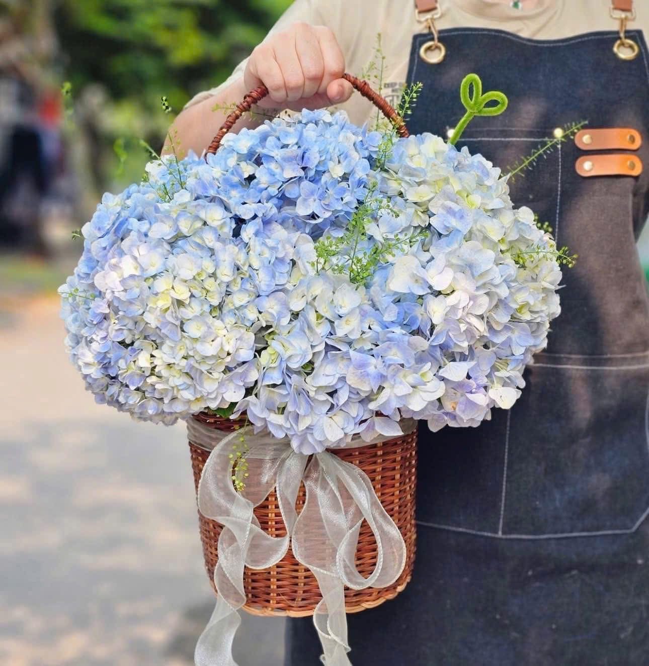 Giỏ hoa Cẩm Tú cầu  xanh dương 