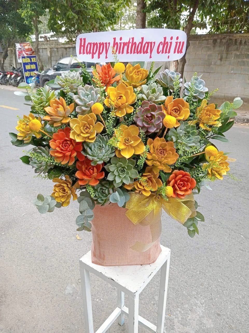 Hoa sen đá Thủ Đức