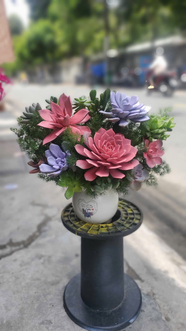 Giỏ hoa sen đá nhỏ xinh tặng sinh nhật 
