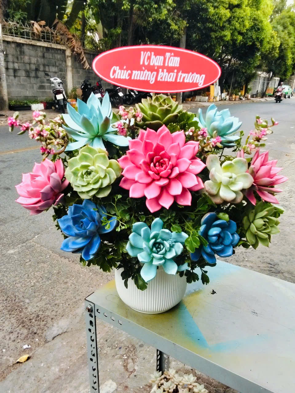 Giỏ hoa sen đá đi tiệc 