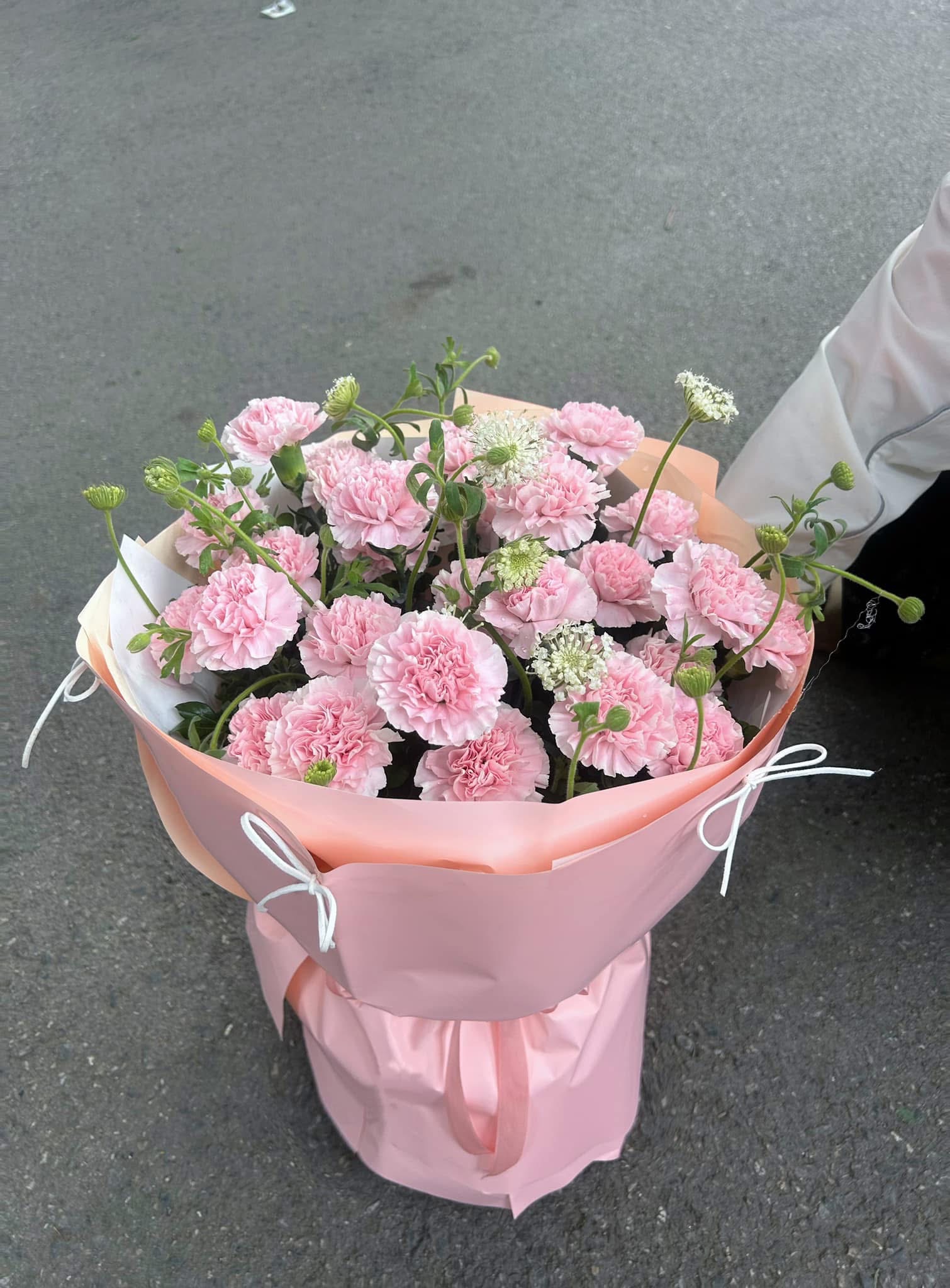 Bó hoa Cẩm chướng hồng 