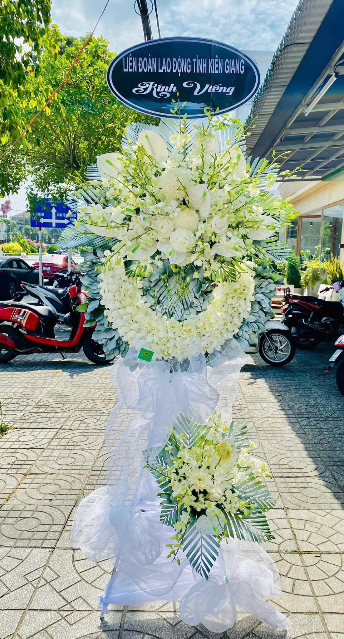 Kệ viếng lan trắng , Hồng môn trắng 