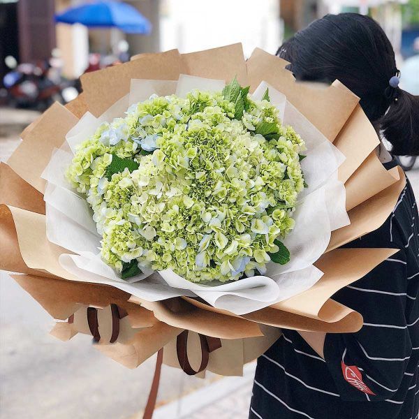 Hoa cẩm tú cầu tặng người yêu 