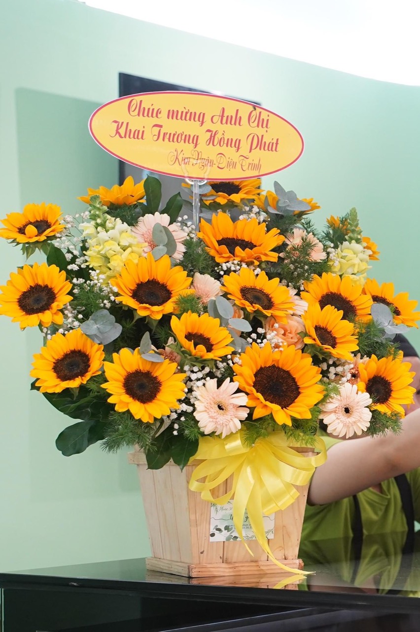 Hoa khai trương hướng dương 