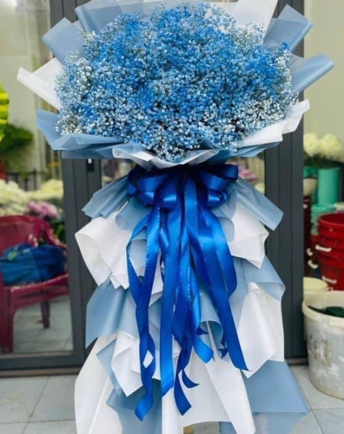 Kệ hoa bi khai trương tone xanh