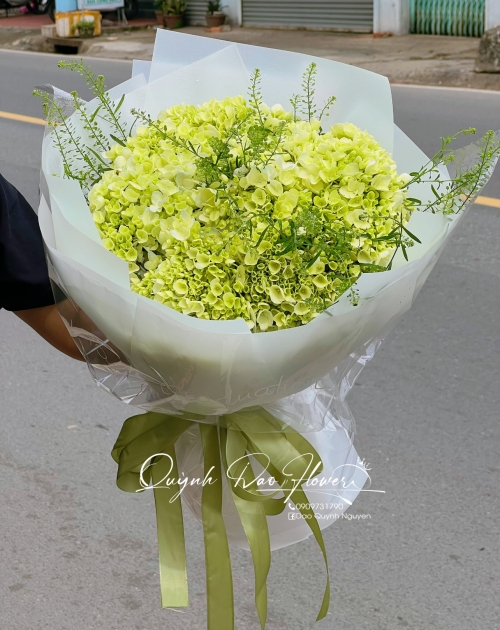 Bó hoa Cẩm Tú cầu tặng người yêu 