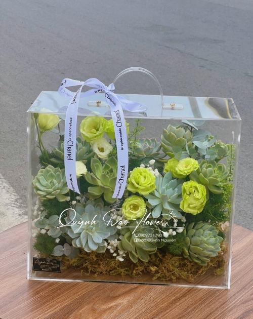 Hộp mica sen đá gần vinhome grand park , quận 9, Thủ Đức