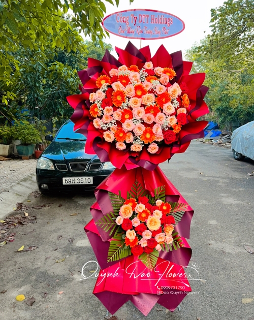 Ke khai trương mix hoa đồng tiền 