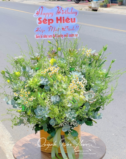 Giỏ hoa sen đá mix  màu xanh lá tặng sếp 