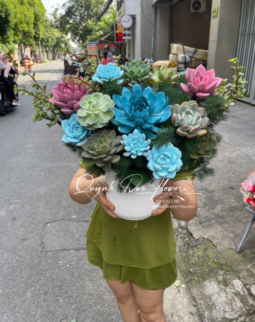 Chậu hoa sen đá tone xanh dương 