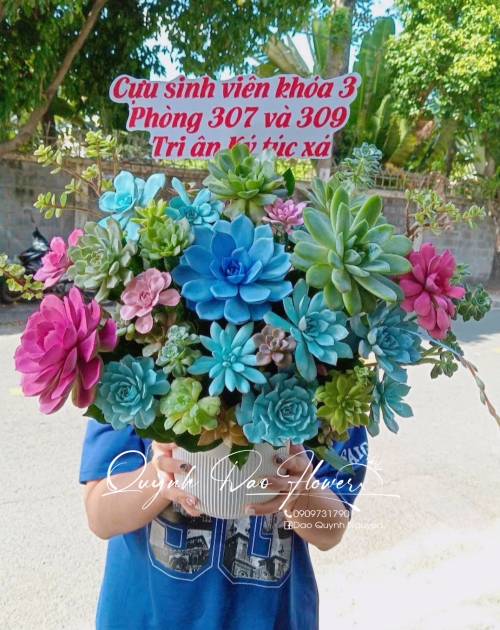 Giỏ hoa sen đá to đẹp 