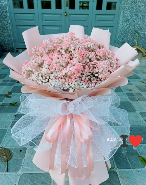 Bó hoa bi tươi màu Hồng to đẹp 