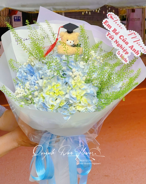 Bó hoa Cẩm Tú cầu kèm gấu tốt nghiệp 