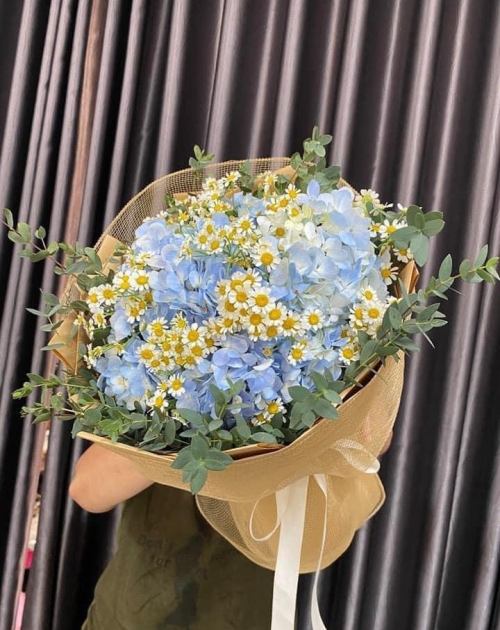 Bó hoa Cẩm Tú cầu mix cúc tana