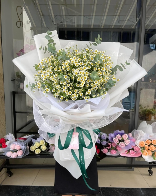 Bó hoa cúc tana giá rẻ