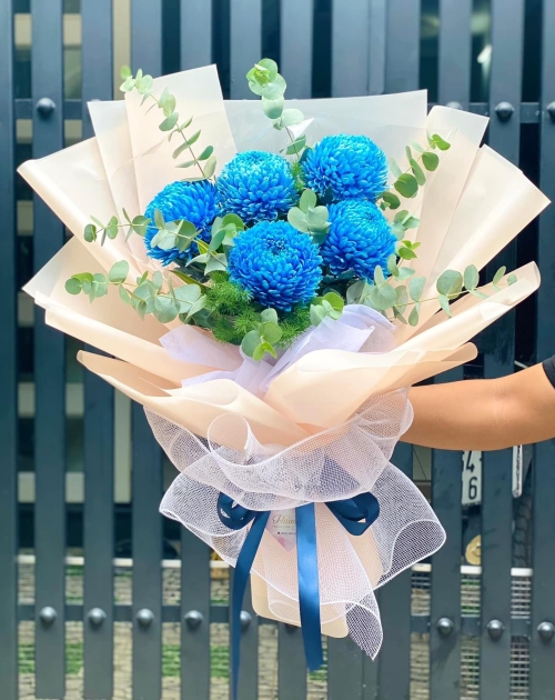 Bó hoa cúc mẫu đơn màu xanh dương 
