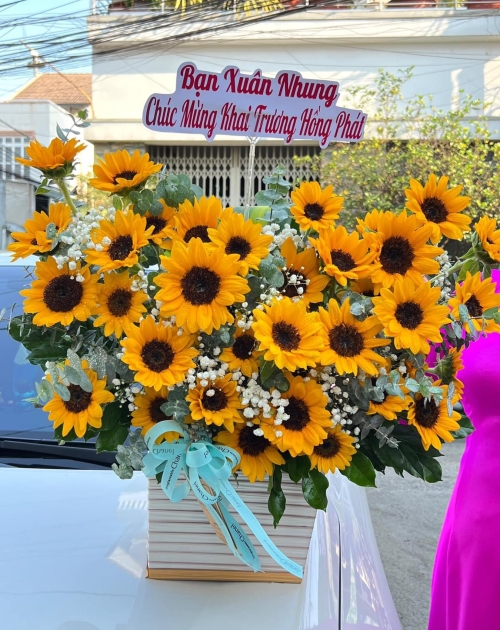 Giỏ hoa hướng dương tặng khai trương 