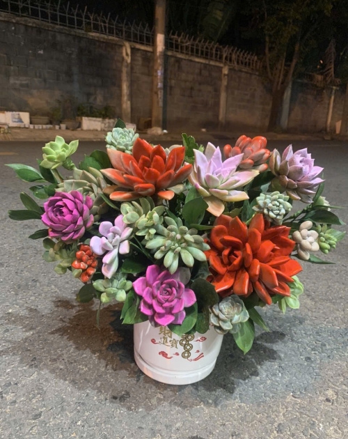 Hoa sen đá gần Thủ Đức, quận 9