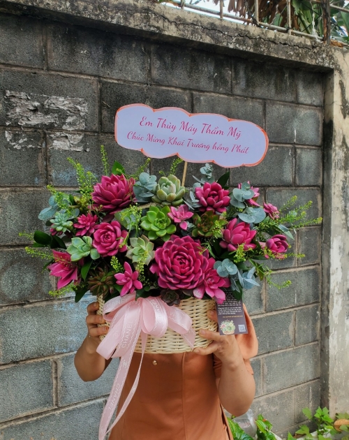 Hoa sen đá, shop hoa gần Thủ Đức, Bình Dương 