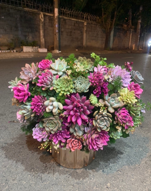 Giỏ sen đá to đẹp 