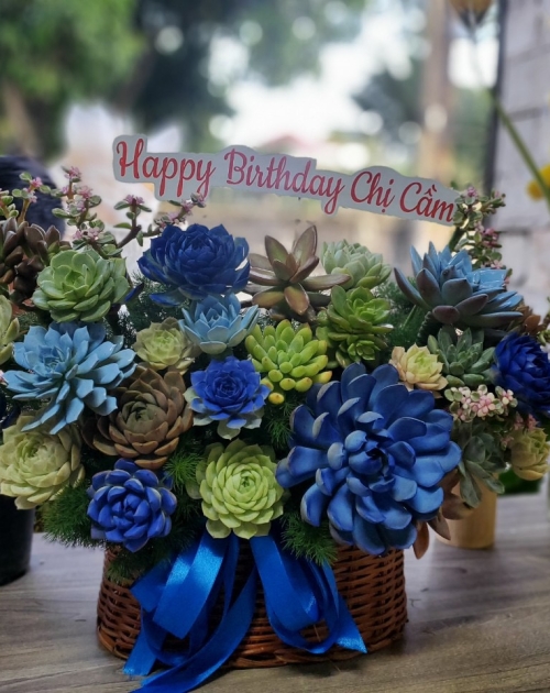 Giỏ hoa sen đá tone xanh dương tặng sếp nam