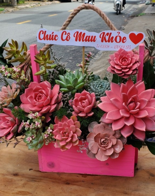 Giỏ hoa sen đá tặng khai trương giá rẻ