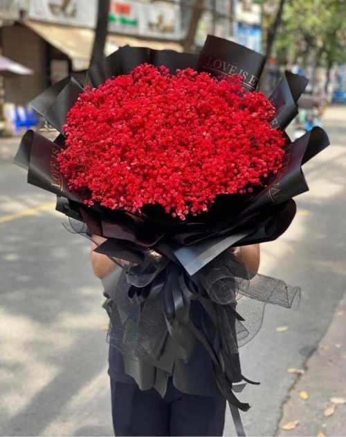 Bó hoa bi khô màu đỏ to đẹp, sang trọng 