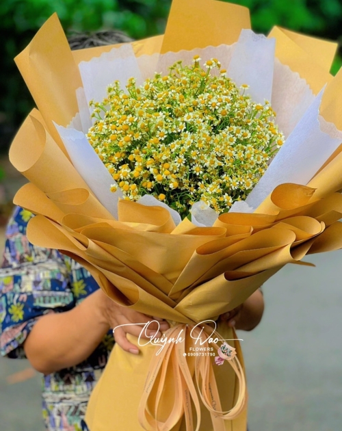 Bó hoa cúc họa Mi tặng sinh Nhật 