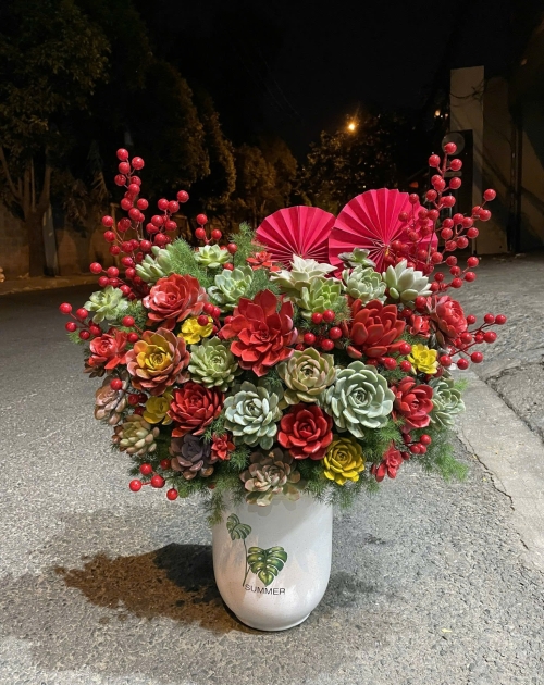 Hoa sen đá tại quận 2