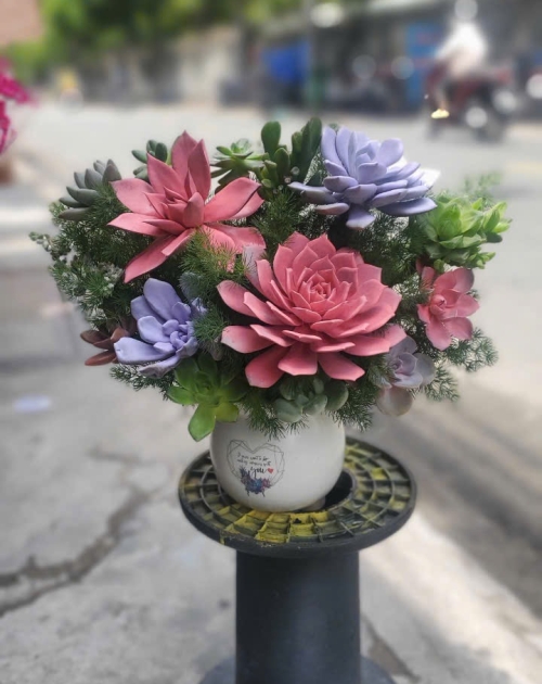 Giỏ hoa sen đá nhỏ xinh tặng sinh nhật 