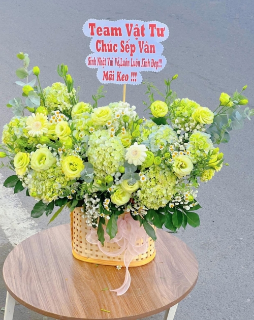 Giỏ hoa Cẩm Tú cầu mix cúc tana