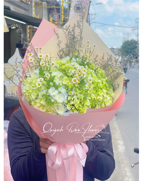 Bó hoa Cẩm Tú cầu ốc quế
