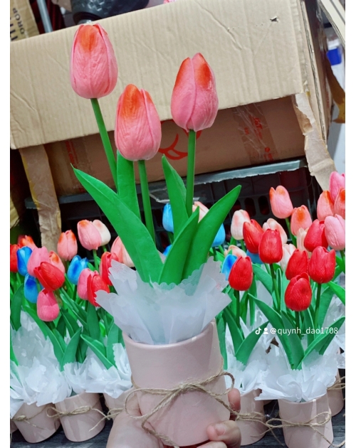 Hộp hoa Tulip để bàn