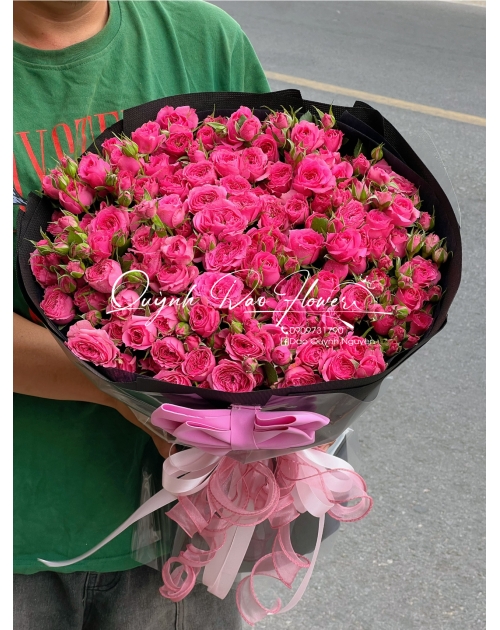 Hoa Sophia thủ Đức tphcm