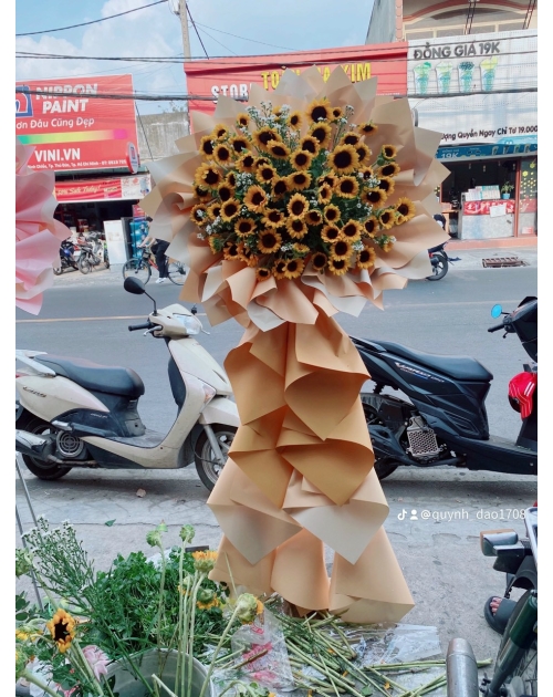 Kệ hoa khai trương hướng dương 