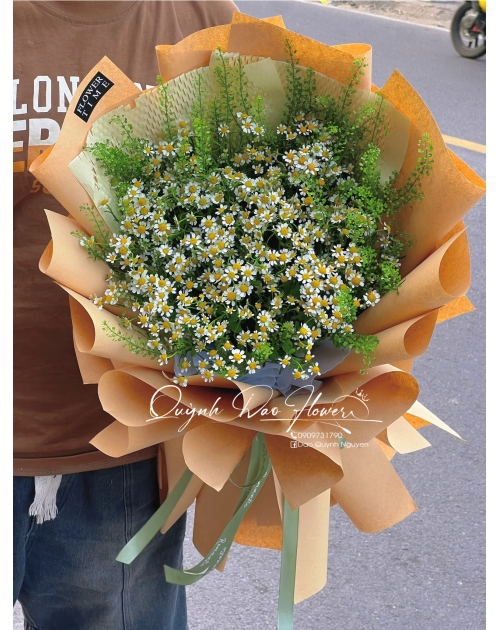 Bó cúc tana to đẹp 