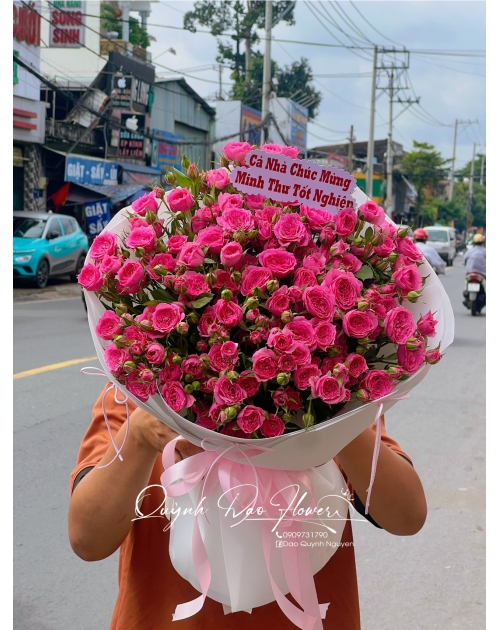Hoa Hồng sophia kiểu Hàn