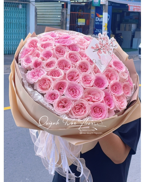 Bó hoa ohara 50 bông