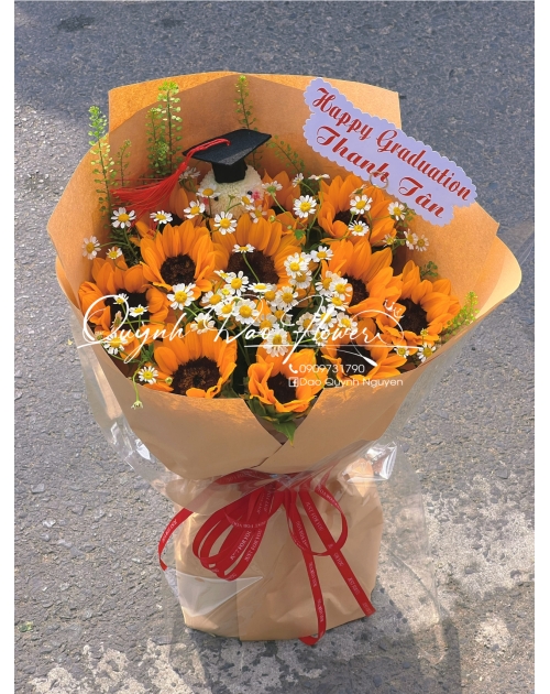 Hoa hướng dương, hoa chúc mừng 