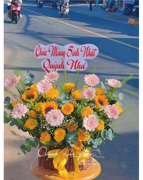 Giỏ hoa chúc mừng mix hoa đồng tiền